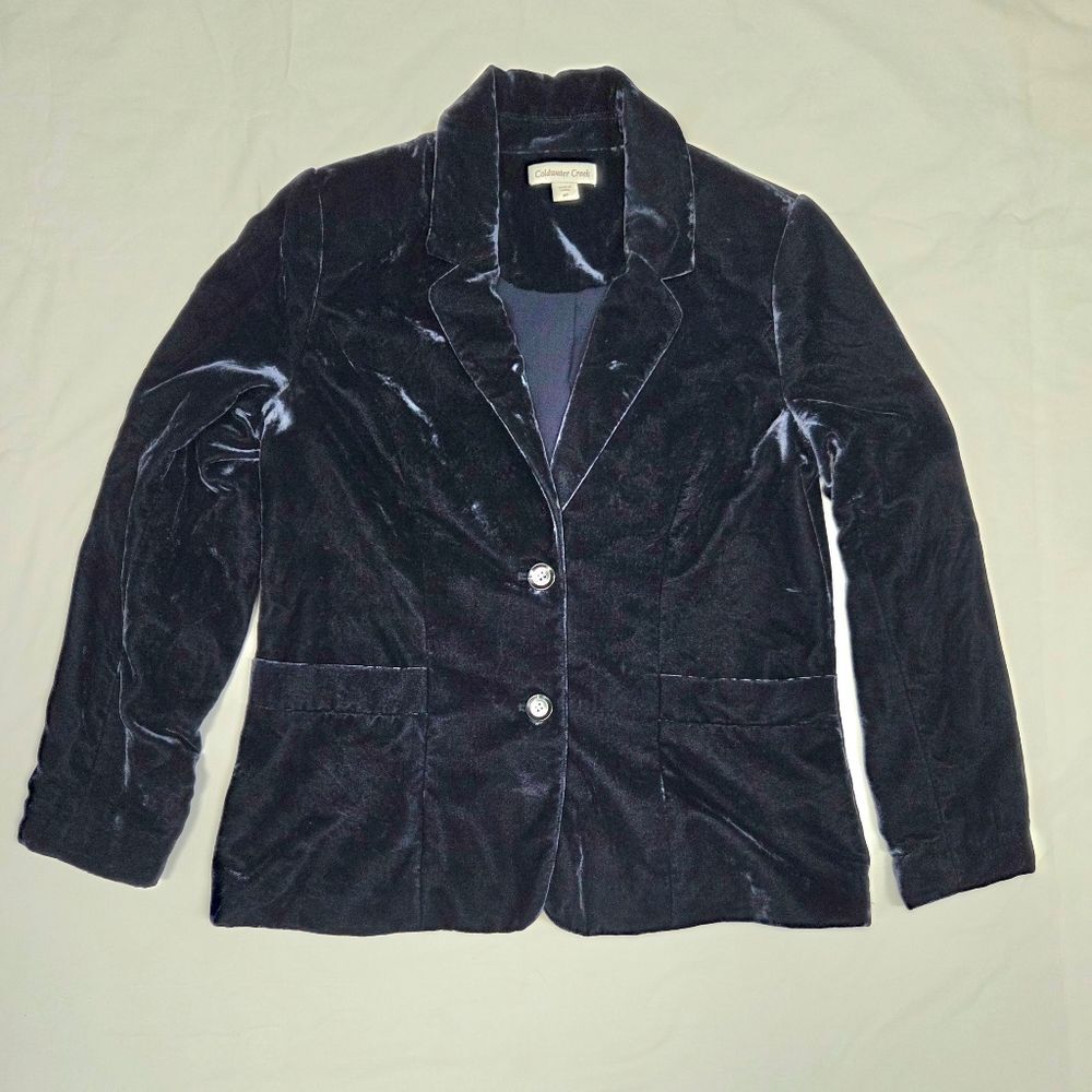 Coldwater Creek Blue Velvet Two Button Blazer 8P